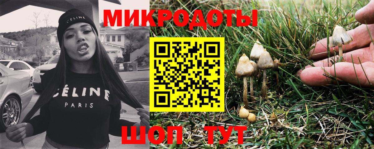 Псилоцибиновые грибы Magic Shrooms  Вход с VPN  Донецк 